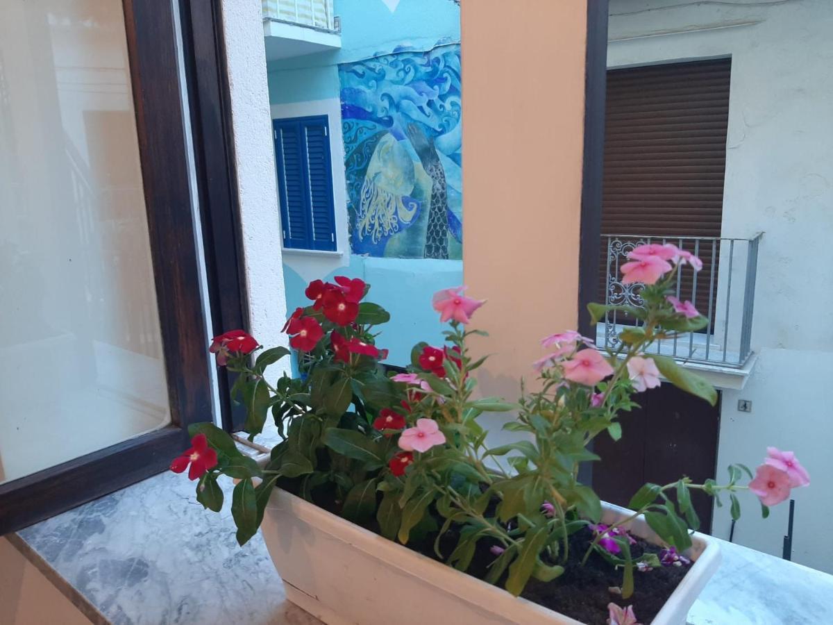 La Vie En Rose - Casa Vacanze ديامنتي المظهر الخارجي الصورة